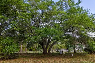 119 Sanborn Rd, Carrabelle, FL 32322 - Photo 11