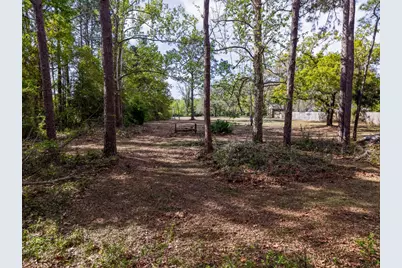 1201 NE 3rd St, Carrabelle, FL 32322 - Photo 7