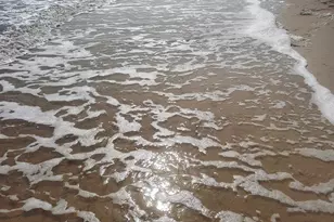 122 California St, Carrabelle, FL 32322 - Photo 53