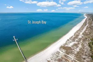 803 Backwater Rd, Port Saint Joe, FL 32456 - Photo 51