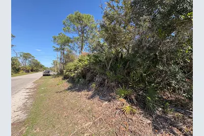 316 E Pine Ave, Saint George Island, FL 32328 - Photo 5
