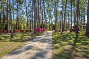 433 River Rd, Carrabelle, FL 32322 - Photo 53