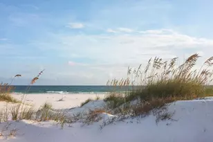 373 Rhonda del Sol Cir, Cape San Blas, FL 32456 - Photo 63