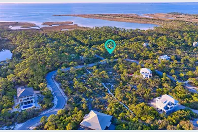 1604 Forsythia Way, Saint George Island, FL 32328 - Photo 5