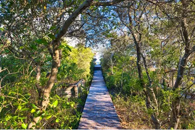 1604 Forsythia Way, Saint George Island, FL 32328 - Photo 11