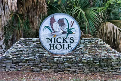 1604 Forsythia Way, Saint George Island, FL 32328 - Photo 19