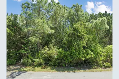 2336 Schooner Landing, Saint George Island, FL 32328 - Photo 15