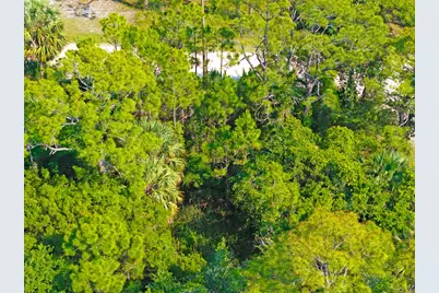 1149 W Pine Ave, Saint George Island, FL 32328 - Photo 15