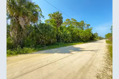 1149 W Pine Ave, Saint George Island, FL 32328 - Photo 11
