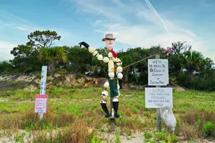 181 S Higgins St, Port Saint Joe, FL 32456 - Photo 61