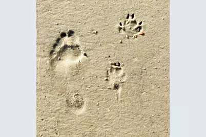 Parcel B Dunes Dr, Port Saint Joe, FL 32456 - Photo 7