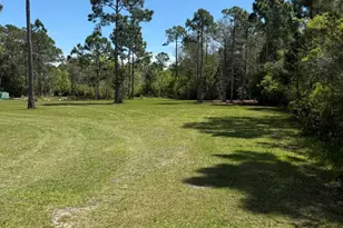 220 Frank McKamey Way, Carrabelle, FL 32322 - Photo 5