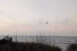 305 Heffernan Dr, Lanark Village, FL 32322 - Photo 7