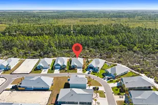 425 Vermilion Cir, Port Saint Joe, FL 32456 - Photo 49