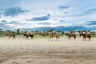 158 Cape Dunes Dr, Cape San Blas, FL 32456 - Photo 39