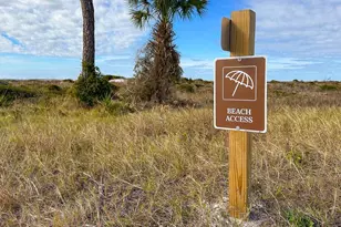 1051 Backwater Rd, Port Saint Joe, FL 32456 - Photo 57