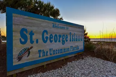 673 E Pine Ave, Saint George Island, FL 32328 - Photo 11