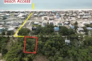 673 E Pine Ave, Saint George Island, FL 32328 - Photo 1