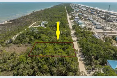 673 E Pine Ave, Saint George Island, FL 32328 - Photo 5