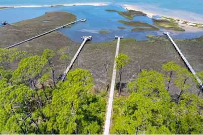 1721 E Gulf Beach Dr, Saint George Island, FL 32328 - Photo 19