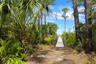 1721 E Gulf Beach Dr, Saint George Island, FL 32328 - Photo 11