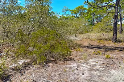 1721 E Gulf Beach Dr, Saint George Island, FL 32328 - Photo 27