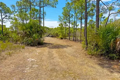 1721 E Gulf Beach Dr, Saint George Island, FL 32328 - Photo 25