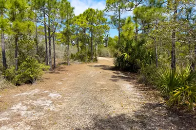 1721 E Gulf Beach Dr, Saint George Island, FL 32328 - Photo 7