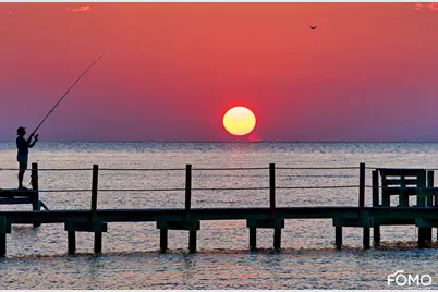 331 Bradford St #5, Saint George Island, FL 32328 - Photo 83