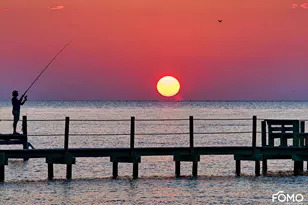 331 Bradford St, Saint George Island, FL 32328 - Photo 83