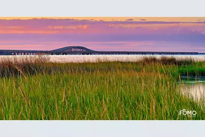 331 Bradford St #5, Saint George Island, FL 32328 - Photo 87