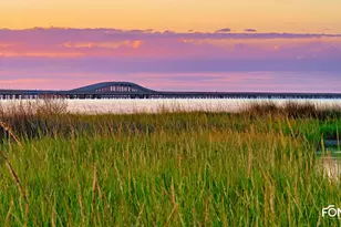 331 Bradford St, Saint George Island, FL 32328 - Photo 87
