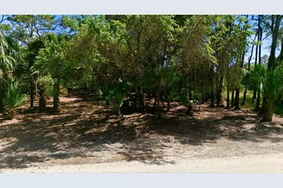 840 E Pine Ave, Saint George Island, FL 32328 - Photo 15