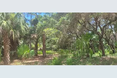 840 E Pine Ave, Saint George Island, FL 32328 - Photo 1