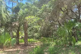 840 E Pine Ave, Saint George Island, FL 32328 - Photo 1