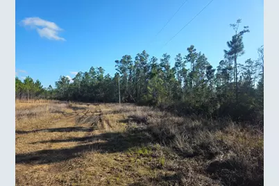 Tbd Pleasant Rest Rd, Wewahitchka, FL 32465 - Photo 3