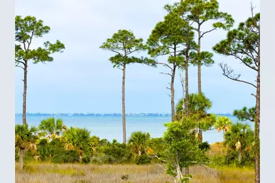 2695 Sr 30-A, Port Saint Joe, FL 32456 - Photo 17