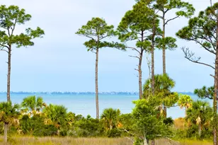 2695 Sr 30-A, Port Saint Joe, FL 32456 - Photo 17
