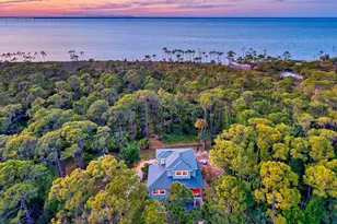 825 E Pine Ave, Saint George Island, FL 32328 - Photo 3