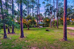 825 E Pine Ave, Saint George Island, FL 32328 - Photo 57