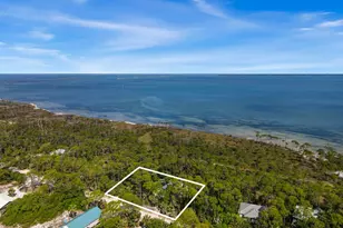 825 E Pine Ave, Saint George Island, FL 32328 - Photo 61