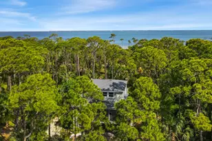 825 E Pine Ave, Saint George Island, FL 32328 - Photo 59
