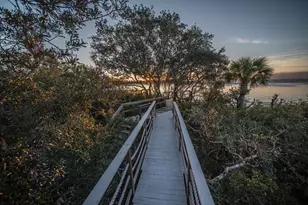 2682 Indian Pass Rd, Cape San Blas, FL 32456 - Photo 51
