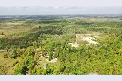 2771 Hwy 71 S, Wewahitchka, FL 32465 - Photo 21