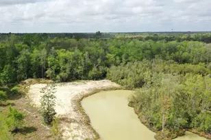 2771 Hwy 71 S, Wewahitchka, FL 32465 - Photo 1