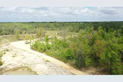2771 Hwy 71 S, Wewahitchka, FL 32465 - Photo 5
