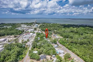 202 Old Ferry Dock Rd, Eastpoint, FL 32328 - Photo 11