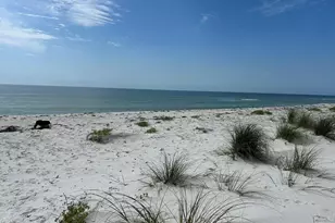 114 Cocina Rd, Carrabelle, FL 32322 - Photo 1