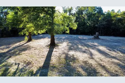 580 Cr- 381, Wewahitchka, FL 32465 - Photo 7