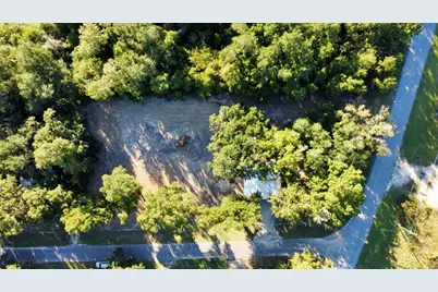 580 Cr- 381, Wewahitchka, FL 32465 - Photo 9